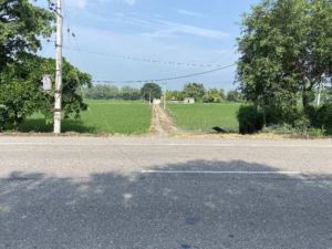 Cash Land Buyer