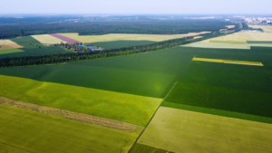 Farmland for a Fast Sale